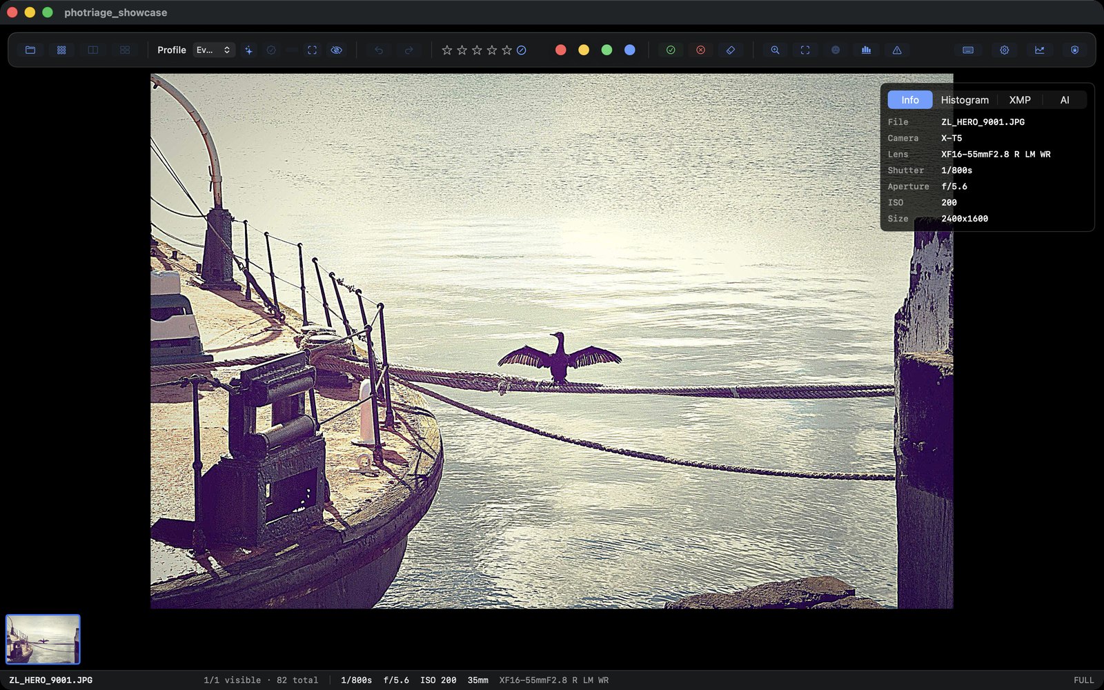 Loupe view